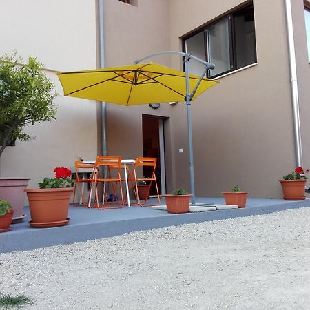 Apartment Luka Novigrad  Zewnętrze zdjęcie