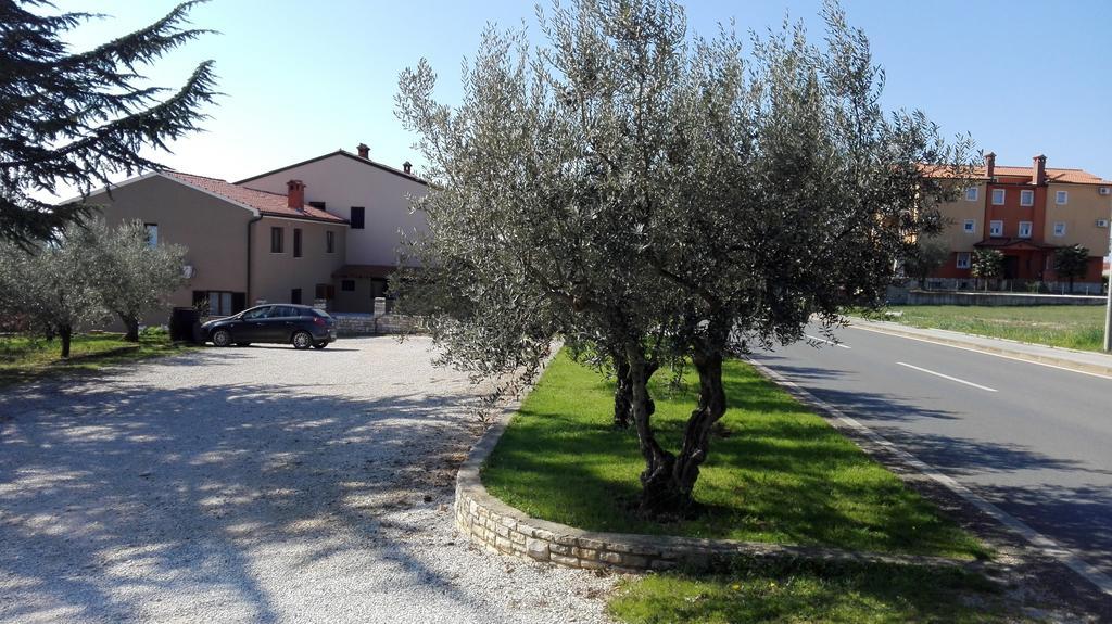 Apartment Luka Novigrad  Zewnętrze zdjęcie